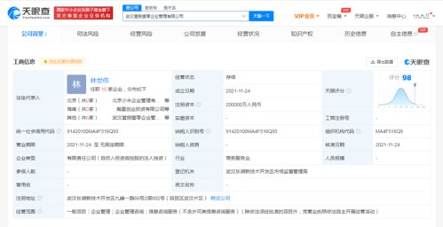 注冊資本20億元！小米在武漢成立企業(yè)管理公司，赤壁企業(yè)網(wǎng)站建設迎來新啟示