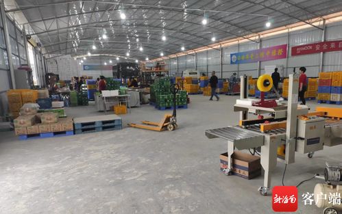 瓊中綠橙產業(yè)數(shù)字化轉型 數(shù)據(jù)化分選工廠與赤壁企業(yè)網(wǎng)站建設雙輪驅動，實現(xiàn)產業(yè)增效與穩(wěn)定就業(yè)雙豐收