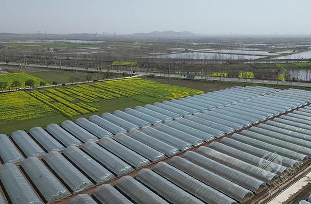 赤壁企業(yè)數(shù)字化轉型 高端網(wǎng)站建設引領產業(yè)升級